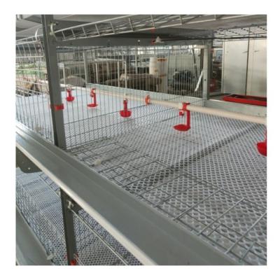 Chine 3 pneus 2150x2300x1600mm Équipement d'élevage de volailles pour poules pondeuses à vendre