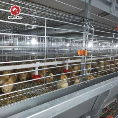 Chine La galvanisation chaude grilleur de 6 oiseaux des rangées 204 met en cage augmenter de poulet à vendre