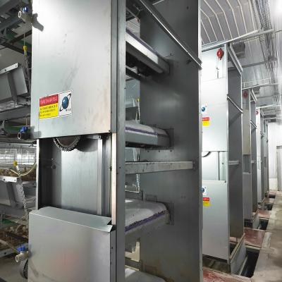 中国 Zn Alの養鶏場のクリーニング機械、380V 3Phaseの商業家禽装置 販売のため