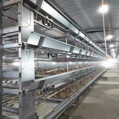 China 380V 50HZ Automatic Broiler Equipment For Chicken House SONCAP Approval for sale
