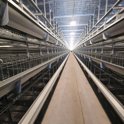 China Equipamento da gaiola da galinha da bateria de 4 assoalhos à venda