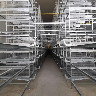 China Galvanized 3-10Tiers H Type Layer Cage , 384 Chicken Egg Laying Cages for sale