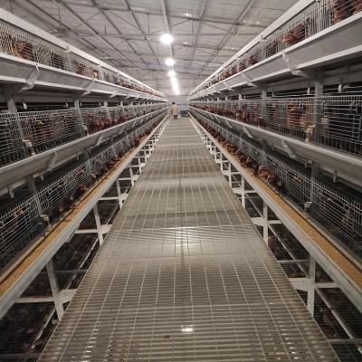 Chine aviculture de cage de batterie de couche du poulet 4Tier, équipement d'aviculture de GV de 192 oiseaux à vendre