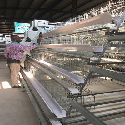China 20000 Birds Layer Poultry Equipment , SGS 3mm A Frame Layer Cages for sale