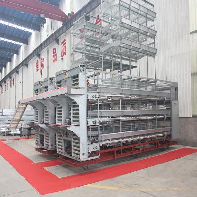Chine Chambre préfabriquée de ferme avicole de la cage de batterie de poulet de fil 3-8tiers à vendre