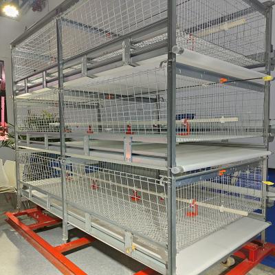 China 90/120 Broiler Battery Cage System , H Frame Q235A Broiler Farm Equipment for sale