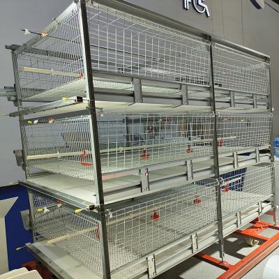 China HDG 4 Tier Poultry Farming Equipment For Broilers Products 200birds/Cage for sale