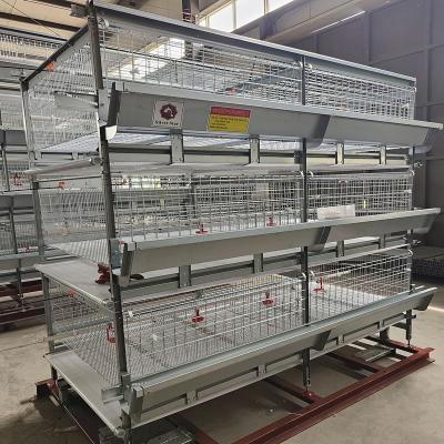 China Modern Farm 150 / 200 Birds Broiler Chicken Cage Q235A Steel Wire Material for sale