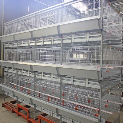 China H Type 500cm2 Meat Chicken Cage , ISO9001 3/4 Tiers Broiler Poultry Equipment for sale