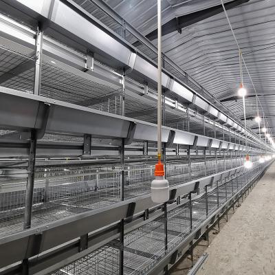 China Pullet Rearing Q235 Modern Hen Cage , SONCAP 90days Poultry Raising Equipment for sale