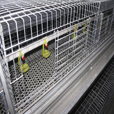China Galvanized Broody Chicken Cage , 3 Or 4 Floors Chicken Raising Equipment for sale