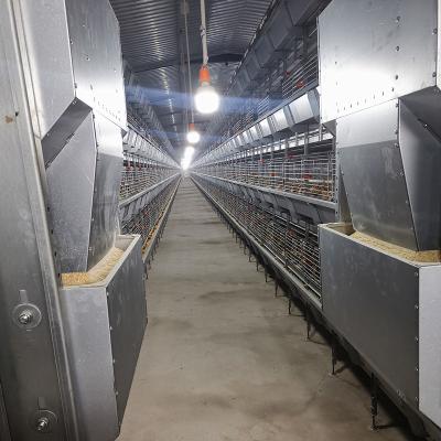 Chine 200-300 poulets/cage galvanisée de poulet immersion chaude d'ensemble pour la cage de grilleur de fermes de poulet à vendre