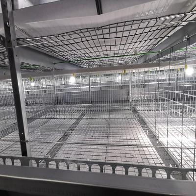 China One Day Old Battery Baby Chick Cage 3-4 Tiers For Laying Hens SONCAP listed for sale