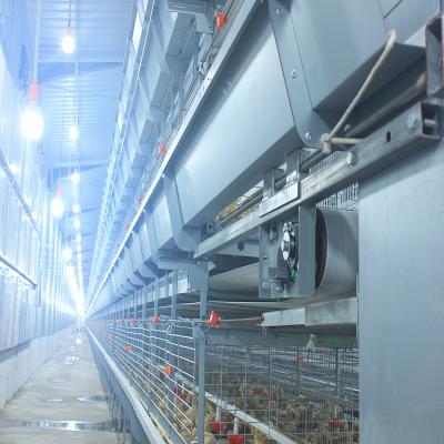 China Poultry Equipment Multi Poultry Broiler Cage Customized Multi Style for sale