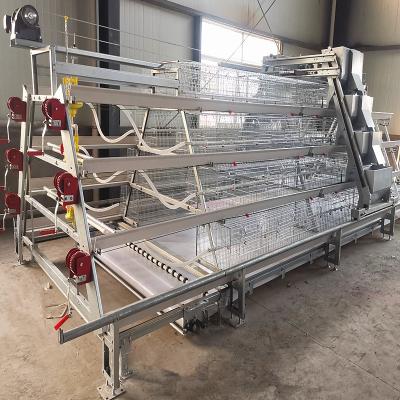 China A Type 3-4 Layers Brooding Cages For Chickens , Q235A Galvanized Chicken Cage for sale
