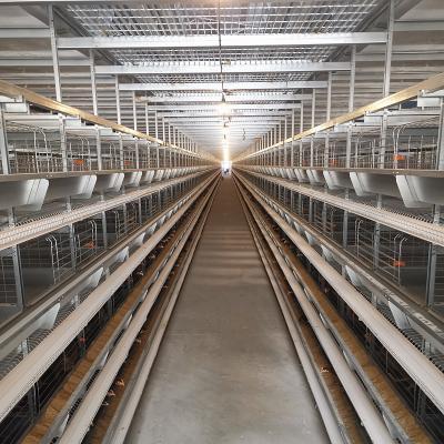 China U Type Q235 Metal Cage For Chickens , 3-8 Tiers H Type Poultry Chicken Cage for sale