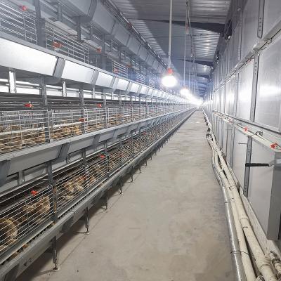 China HDG Chicken Cage Equipment , 3 Or 4 Layers Poultry Battery Cage for sale
