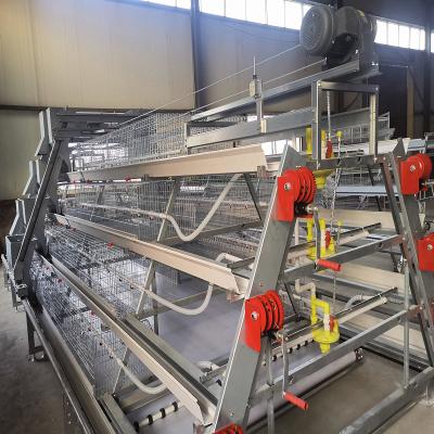 China Poultry Farming 1-45 Days Broiler Equipment SGS Battery Cage System for sale