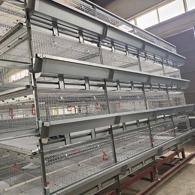 China 4 Doors q235 H Type Battery Broiler Equipment 3 Layers Poultry Shed for sale