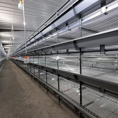 China Farm Broiler Processing Equipment , 3.0-6.0mm Q235 Wire Mesh H Type Layer Cage for sale