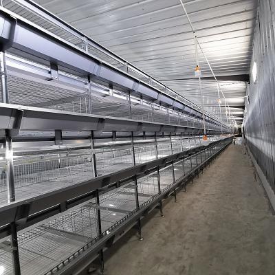 China 2.8m Height 2.5mm Layer HDG Broiler Chicken Farming Equipment Cage Hygienic for sale
