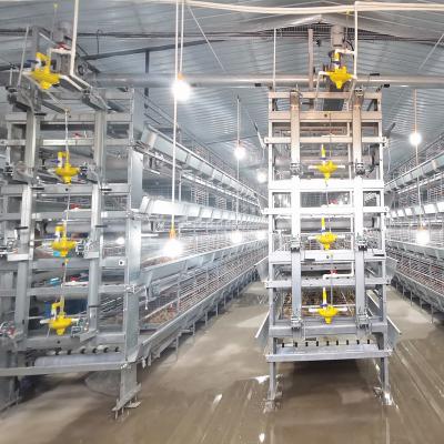 China Hot Dip Galvanized Q235 Broiler Equipment 108 / 144birds Wire Chicken Cage for sale