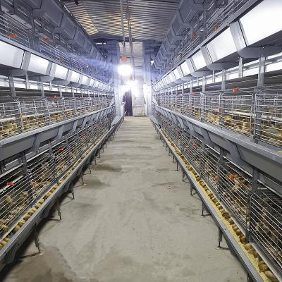 China 3/4 Tier Battery Chicken Breeding Cages , Zn-Al Steel Poultry Raising Equipment for sale