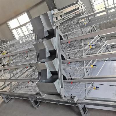 China 3-4 Layers Poultry Broiler Equipment SONCAP Moden Chicken Battery Cage for sale