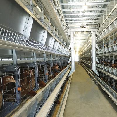 China Fio automático do sistema dia3-6mm da alimentação de aves domésticas da exploração agrícola de galinha Q235 com dispensar à venda