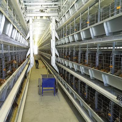 中国 UのタイプHDGの鋼鉄鶏の食糧送り装置、鶏のための3-8tiers自動供給システム 販売のため