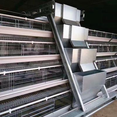 China 160 Birds Q235 Cage Automatic Poultry Feeding System 4 Layers for sale