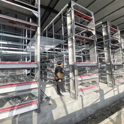 China Multi Tier Poultry House Cleanout Equipment , 1.2mm 220v Battery Cage System for sale