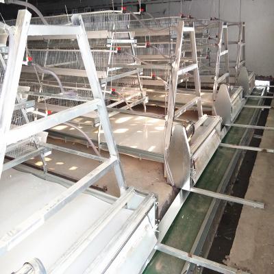 China 10-12m/Min Belt Poultry Manure Removal System Noiseless For Chicken Farm for sale