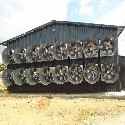 China sistema industrial de la vertiente del control de las aves de corral de la fan de ventilación de la granja de pollo 46000m3/H 1270m m en venta