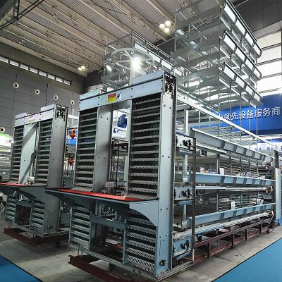 Chine équipement d'aviculture des mamelons 360degree de 25mm, couche des oeufs Q235 cultivant la cage à vendre