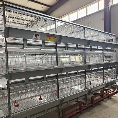 China U Shaped Galvanized Broiler Poultry Farming Equipment 60-192 Birds Capacity for sale