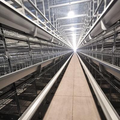China A galinha Q235 prende a espessura do equipamento de cultivo 3-6mm das aves domésticas à venda