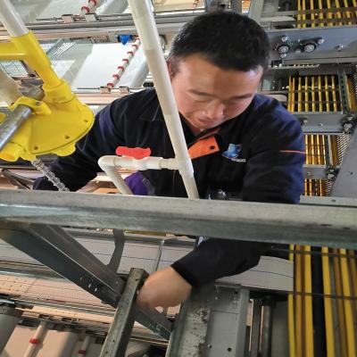 China Diámetro de consumición del sistema 25m m de las aves de corral del pollo de los alimentadores Q235 del PVC en venta