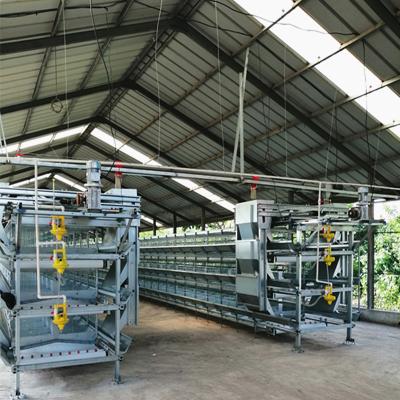 China H Frame Battery Type Breeding Cages Modern Farm Layer Farming Equipment for sale