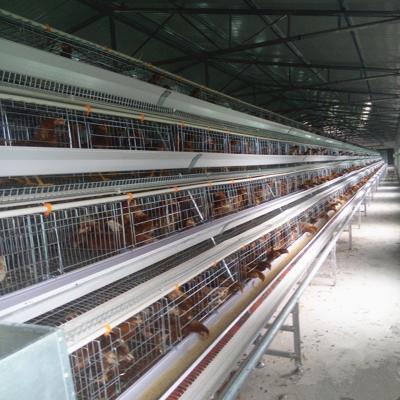 China 4 Tier Battery Chicken Cage Battery Farm Chickens Cage For Poultry House for sale
