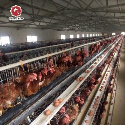 Κίνα 3 το υψηλό χέρι κλουβιών κοτόπουλου στρώματος σειρών κάνει το κλουβί κοτόπουλου αυγών προς πώληση