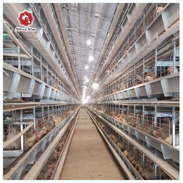 China H Type Layer Chicken Cage Equipment 4 Tier 5 Tier Farm for sale
