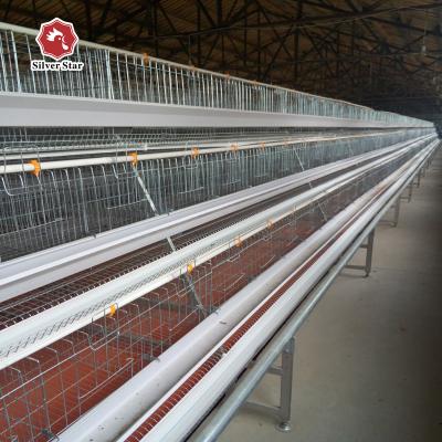China 160 Birds / Set Full Automatic Battery Cage System Poultry Farming Equipment for sale