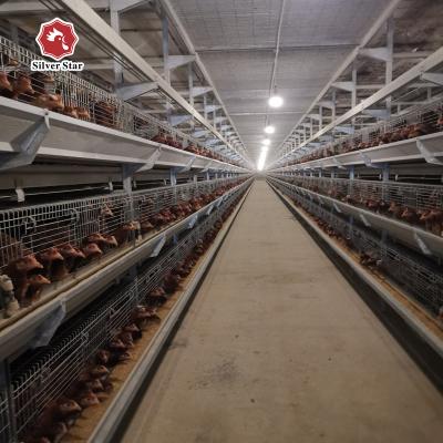 China One Day Old Chicken Cage Poultry 204 birds h type broiler cage for sale