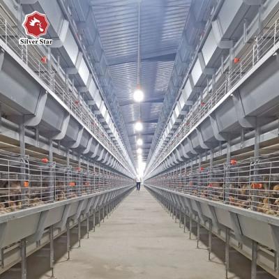 China H Frame 4 Tiers Meat Chicken Broiler Cage 136 birds for sale