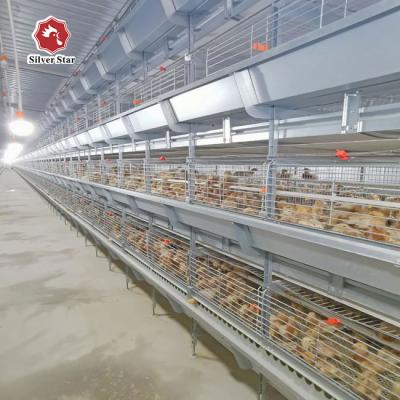 China Galvanized 150 Broiler Chicken Poultry Cage SGS Certificated for sale