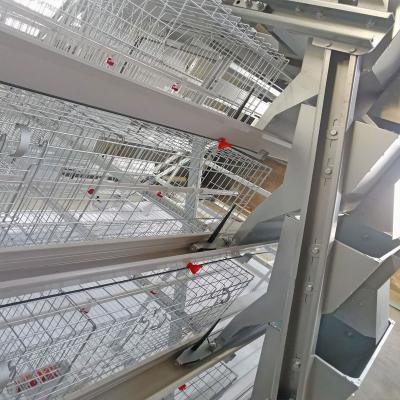 China Latest Design A Type Baby Chick Cage With Drinking 13 Chicks / Cell for sale