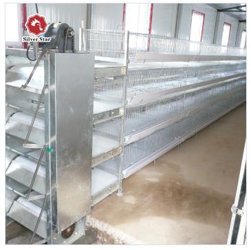 China Poultry Farm cages for broiler chicken Breeding / Meat Broiler for sale