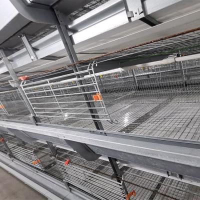 China Hot Galvanized Wire Mesh Broiler Chicken Cage H Type for sale