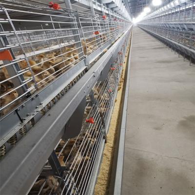 China Grillage en acier galvanisé à chaud de cage de poulet à rôtir de batterie de cadre de H for sale